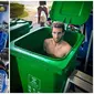 Cara unik pembalap MotoGP turunkan suhu badan (Sumber: Instagram/alexrins/Twitter/Rins42)