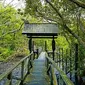 Kawasan Hutan Mangrove Margomulyo Balikpapan (sumber: instagram/emera_1811)