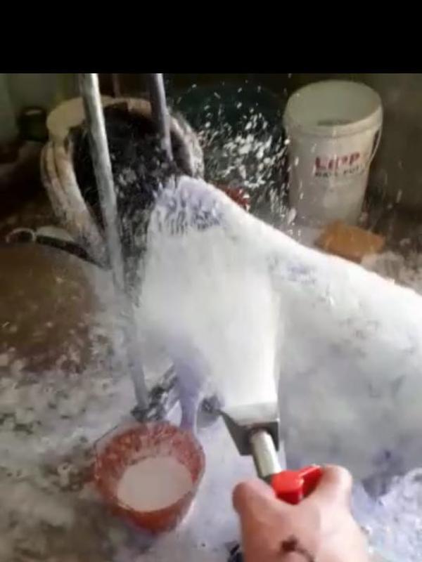 Selain diberikan treatment fisik berupa treadmill dan lainnya, tubuh domba dimandikan menggunakan steam salju agar nyaman. (Liputan6.com/Jayadi Supriadin)