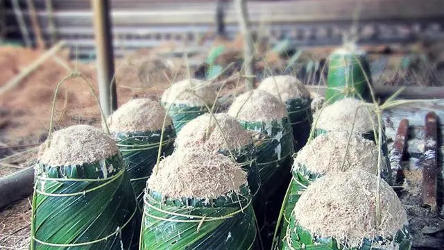 Pengembangan Sagu Bagian Penting Wujudkan Ketahanan Pangan Nasional