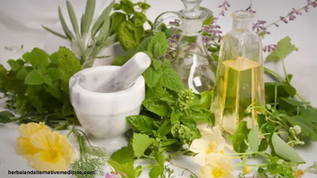 herbal-130420b.jpg