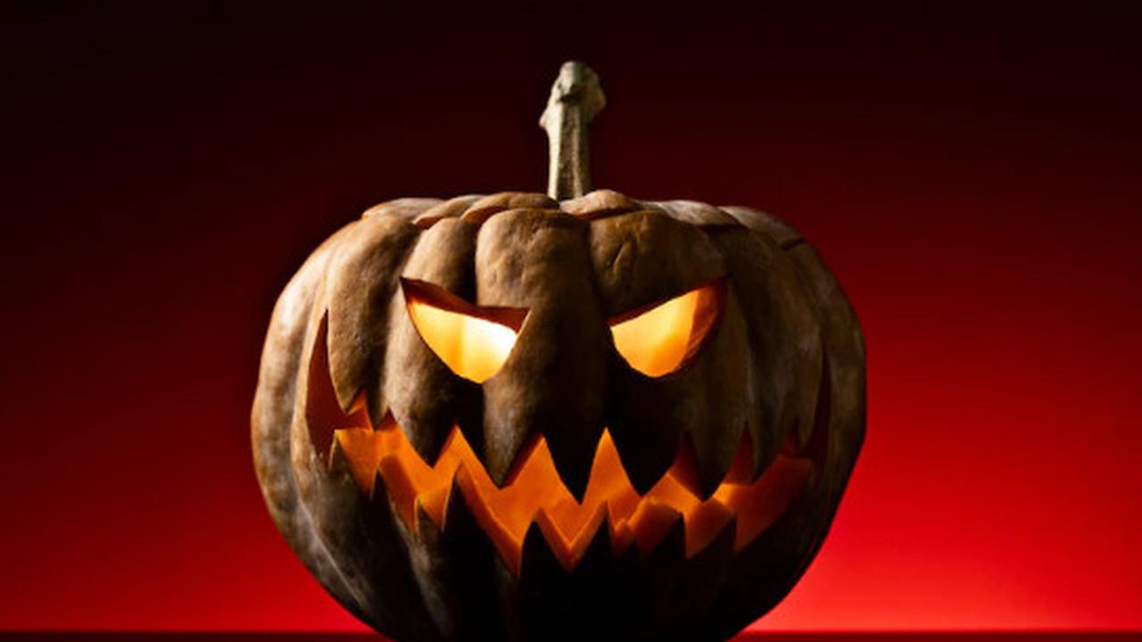 Pumpkin Halloween (sumber: freepik)