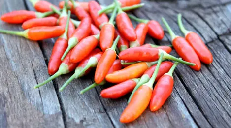 Cara Menyimpan Cabai Rawit Agar Tidak Cepat Busuk - Lifestyle Fimela.com