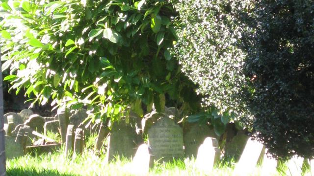 Hyde Park Pet Cemetery