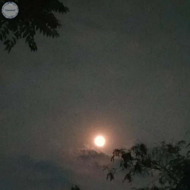 6 Potret Jepretan Foto Bulan Netizen Pakai HP Ini Bikin Senyum Tipis