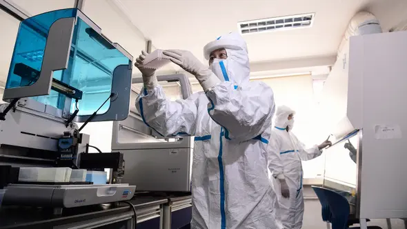 Petugas laboratorium melakukan pengujian sampel dari orang yang akan diuji untuk virus corona COVID-19 di sebuah laboratorium di Shenyang, provinsi Liaoning timur laut China, Rabu (12/2/2020). WHO kini tidak lagi menyebut virus yang merebak di China sebagai Virus Corona Baru. (STR/AFP)