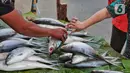 Pedagang ikan bandeng melayani pembeli di Rawa Belong, Jakarta, Jumat (20/1/2023). Penjual bandeng musiman ini menjual daganganya jelang perayaan Imlek yang dijual dengan harga mulai dari Rp. 50.000 hingga Rp. 90.000 per kilonya. (Liputan6.com/Angga Yuniar)