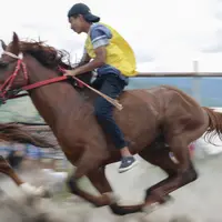 Seorang joki memacu kudanya pada lomba pacuan kuda tradisional di Takengon, Aceh, 10 Maret 2018. Budaya yang telah diwariskan turun temurun sejak zaman kolonial Belanda untuk merayakan musim panen tahunan. (AFP PHOTO/CHAIDEER MAHYUDDIN)