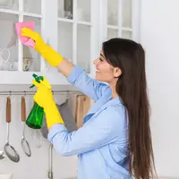 ilustrasi membersihkan dapur/Prostock-studio/Shutterstock