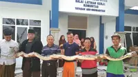 Warga dan santri di pondok pesantren Ash Shomadiyah, Dusun Makamagung, Kelurahan Kingking, Kecamatan Tuban, Kabupaten Tuban, Jawa Timur menangkap ular piton sepanjang 4 meter. (Liputan6.com/ Ahmad Adirin)