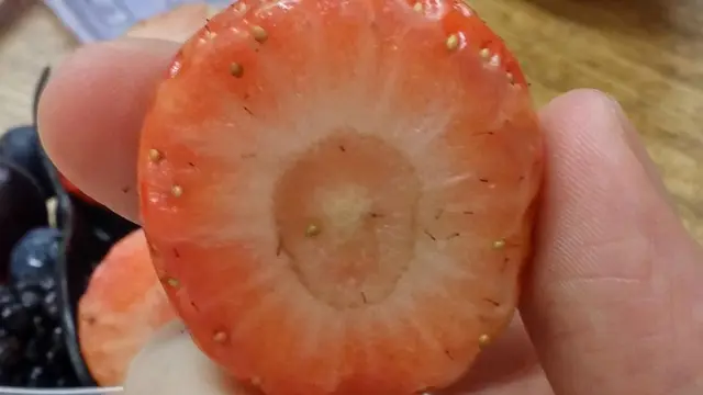 8 Potret Buah Berbentuk Unik Banget, Bikin Takjub