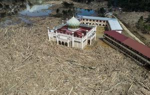 Pemandangan udara menunjukkan sisa-sisa pepohonan yang tumbang di pesantren dan masjid Darul Mukhlisin setelah banjir bandang di Aceh Tamiang pada 10 Desember 2025. (Aditya Aji/AFP)