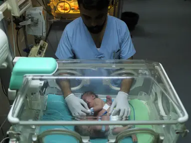 Perawat mengecek kondisi bayi kembar siam berusia satu hari terlihat di dalam inkubator di Rumah Sakit al-Shifa di Kota Gaza, (22/10). Kepala rumah sakit al-Shifa mengatakan bayi ini akan dibawa ke luar negeri untuk dipisahkan. (AFP Photo/Mahmud Hams)