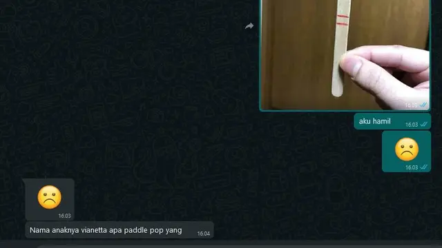 6 Chat WhatsApp Netizen Ngeprank Hamil Ini Bikin Kaget