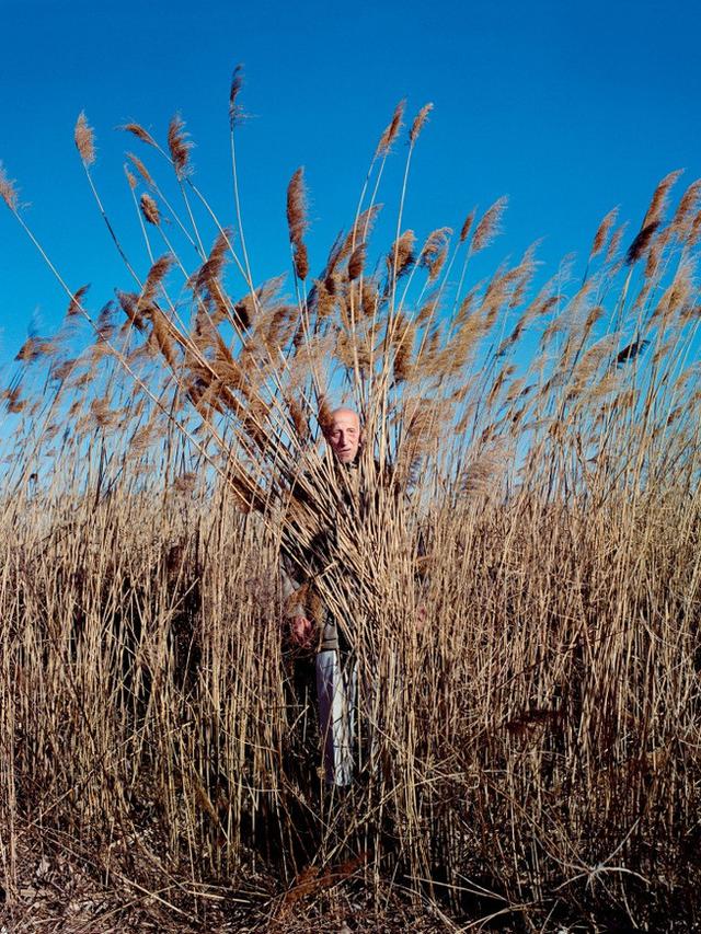 Lansia Dirias Ranting dan Dahan Kering