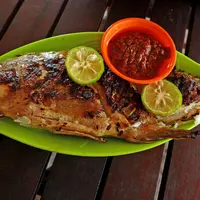 ilustrasi ikan kerapu/Arief Adhari/Shutterstock