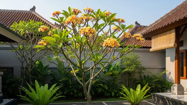 6 Pilihan Pohon Kamboja untuk Rumah Tropis yang Adem, Halaman Lebih Asri