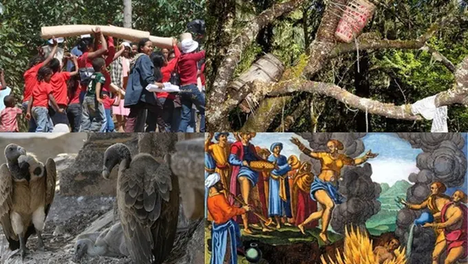 Foto: Copyright Wonderslist.com