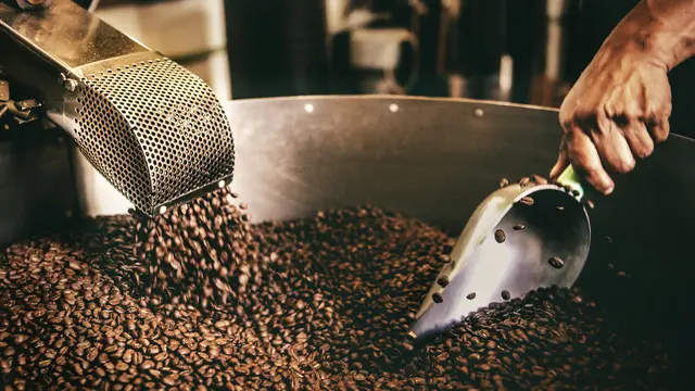 Biji Kopi