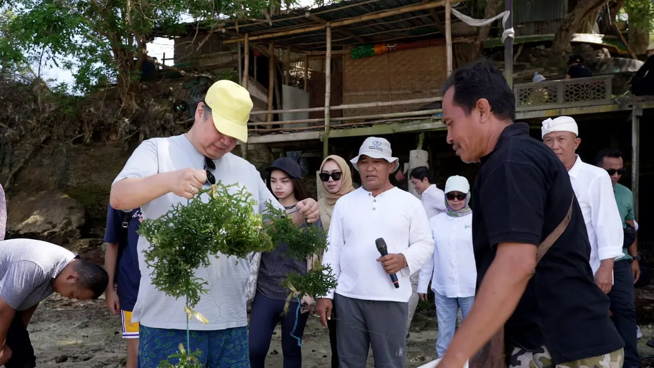 Menteri Koordinator Bidang Perekonomian Airlangga Hartarto