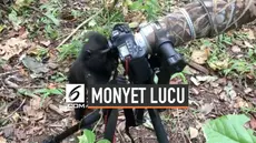 Seekor monyet di Cagar Alam Tangkoko coba bergaya layaknya fotografer dan coba mengutak-atik kamera milik ahli biologi asal Denmark.