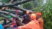 Pemprov DKI Jakarta Ganti Pohon Tua dengan Jenis Tahan Angin, Ini Daftar Pilihannya
