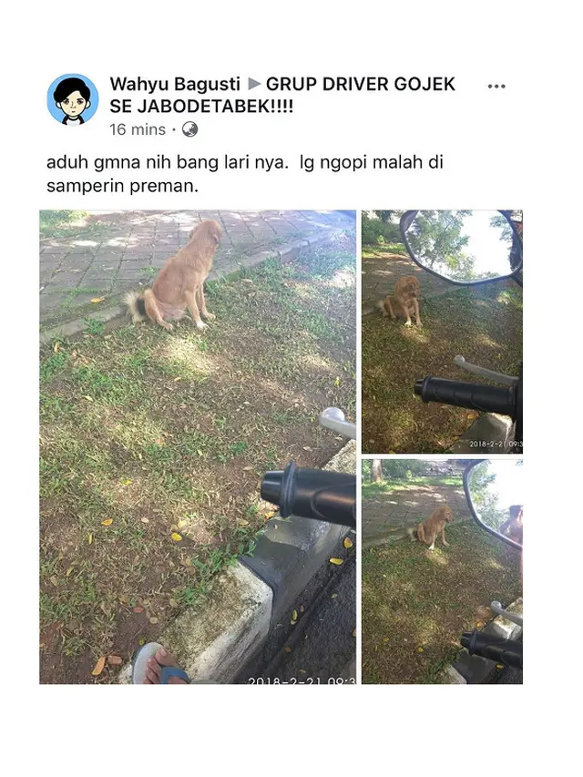 Ketemu Anjing, Ini 5 Aksi Kocak yang Dilakukan Ojol