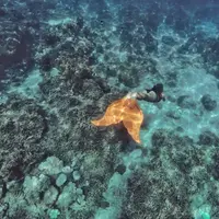 Tips diving ala Marischka Prudence. (marischkaprue/Instagram)