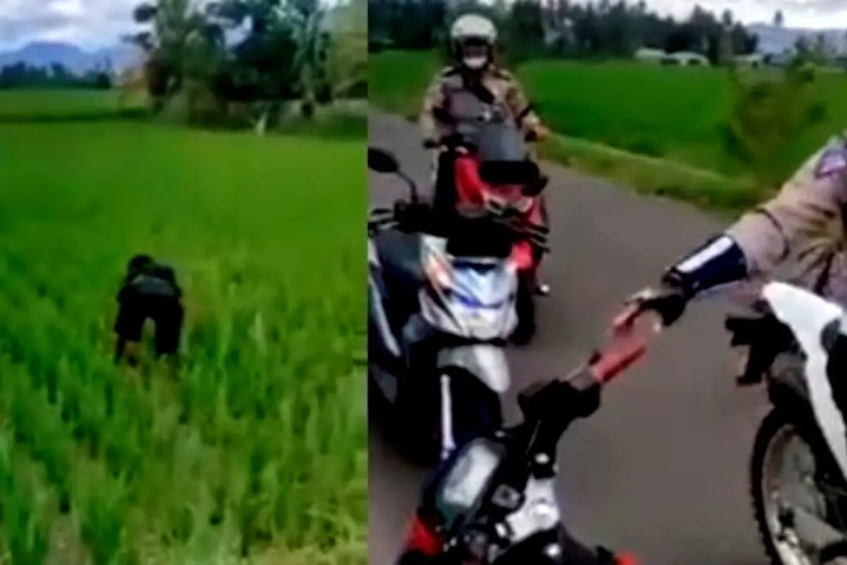 Pelanggar lalu lintas