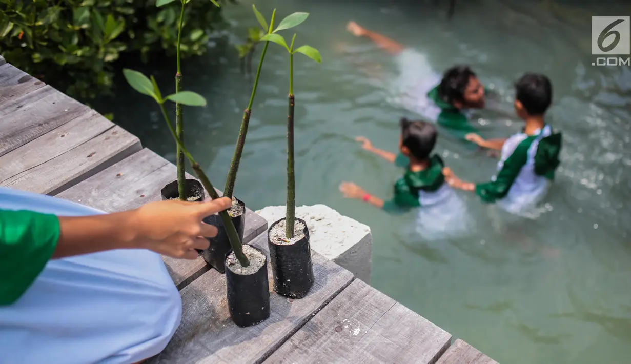 Siswa sekolah dasar menanam mangrove saat kegiatan 100.000 pohon di Area Labirin Pulau Pramuka, Kepulauan Seribu, Jakarta, Rabu (28/11). Kegiatan ini memperingati Hari menanam Pohon Indonesia yang jatuh  28 November. (Liputan6.com/Faizal Fanani)
