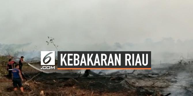 VIDEO: 300.000 Orang Sesak Nafas Akibat Kebakaran Hutan Riau