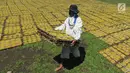 Pekerja mengangkat kerupuk mie kuning yang telah dijemur di Karadenan, Bogor (22/05). Pada bulan Ramadan pembeli meningkat dua kali lipat dari pada akhir pekan di bulan-bulan biasa. (Merdeka.com/Arie Basuki)