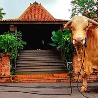 Irfan Hakim mengaku bersyukur karena Idul Adha tahun ini dapat kembali berkurban sapi dengan kualitas terbaik. (Instagram/irfanhakim75)