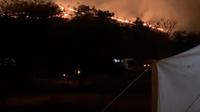 Foto: Kebakaran di wilayah cagar alam Wae Wuul, Labuan Bajo (Liputan6.com/Ola Keda)