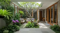 7 Model Rumah Kecil Tapi Luas dengan Taman Dalam Rumah dan Pohon Indoor