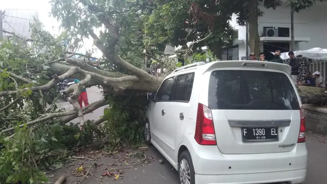 Mobil tertimpa pohon tumbang di Bogor