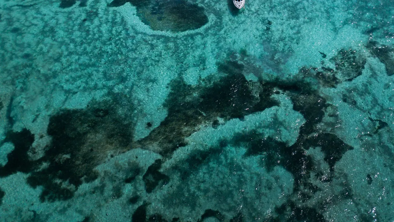 Ilustrasi Nusa Lembongan (Foto: Max Ravier/Pexels.com)