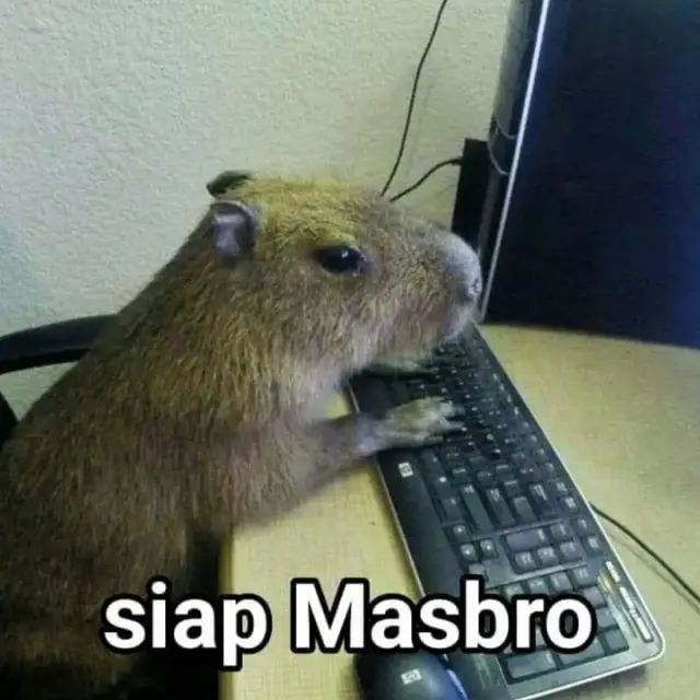 7 Meme Kocak Hewan Kapibara yang Dijuluki Mas Bro oleh Netizen Ini Imut Saat Cosplay