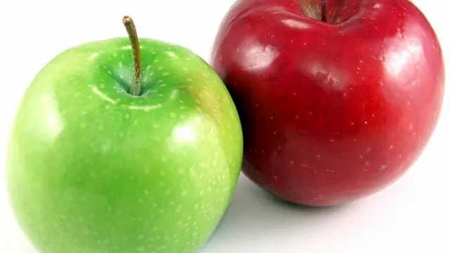 Makanan Sehat Untuk Diet Mayo
