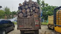 Badan Penegakkan Hukum Lingkungan Hidup dan Kehutanan (BPPLHK) menahan satu truk berisi kayu yang diduga hasil pembalakan liar. (Liputan6.com/ M Syukur)