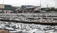 Kepala BPOM Soroti Video Viral Ikan Asin Diduga Disemprot Baygon