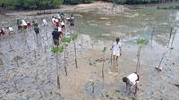 Aksi tanam mangrove di Desa Tanjung Batu, Donggala oleh anak-anak SD. Penanaman itu diinisiasi Yayasan KEHATI bersama Yayasan Bonebula serta kelompok ibu-ibu pegiat konservasi mangrove untuk memperingati Hari Mangrove Se-Dunia, Selasa (26/7/2022). (Foto: Heri Susanto/ Liputan6.com).
