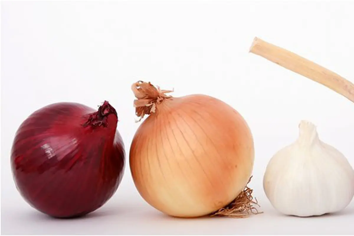 Manfaat Bawang Putih/copyright pixabay