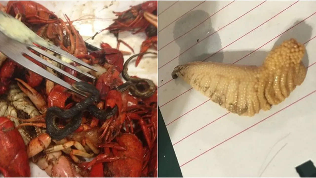 6 Potret Orang Temukan Hewan Menggelikan di Makanan, Hampir Saja Dilahap