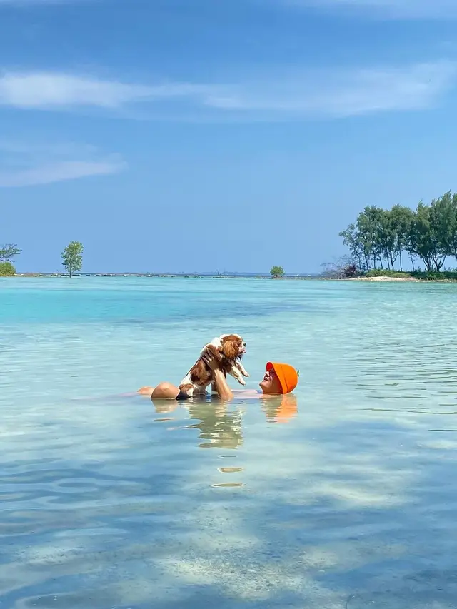 Boy William liburan ke pantai bersama anjingnya. [Foto: Instagram/boywilliam17]