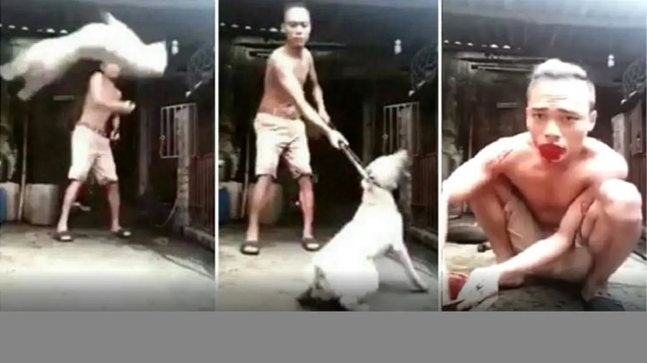 Super Sadis, Pria Bantai Anjing dan Meminum Darah Segarnya