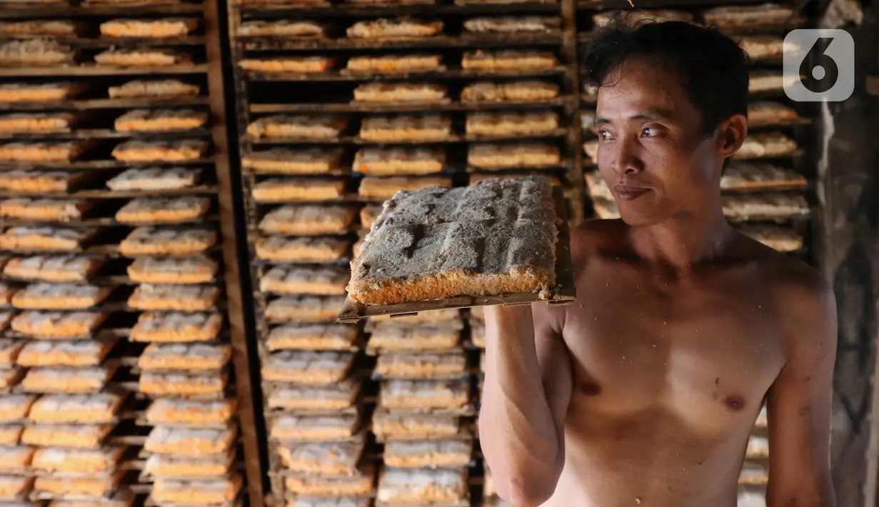 Perajin membawa cetakan oncom di sebuah industri skala kecil , kawasan Sudimara Barat, Ciledug, Tangerang, Selasa (15/9/2020). Produksi oncom untuk memenuhi kebutuhan pasar di kawasan Tangerang tersebut dijual seharga Rp 5.000 setiap nampannya. (Liputan6.com/Angga Yuniar)