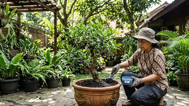 Cara Mengerdilkan Pohon Jamblang atau Duwet agar Berbuah di Pot/AI Generated