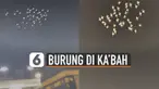 Viral datang dari Makkah, ada burung-burung yang sedang mengelilingi ka'bah. Uniknya kawanan burung-burung ini berwarna putih dan membentuk formasi yang rapi.