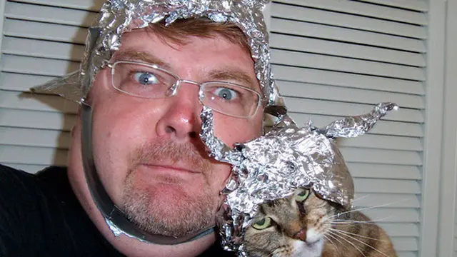 7 Potret Kucing Pakai Topi Aluminium Foil Berbagai Bentuk Ini Bikin Gemas